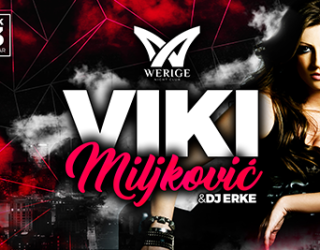 viki-baner-424x267